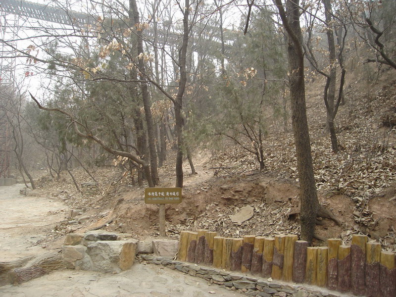 就是从这小道儿进入公园的。