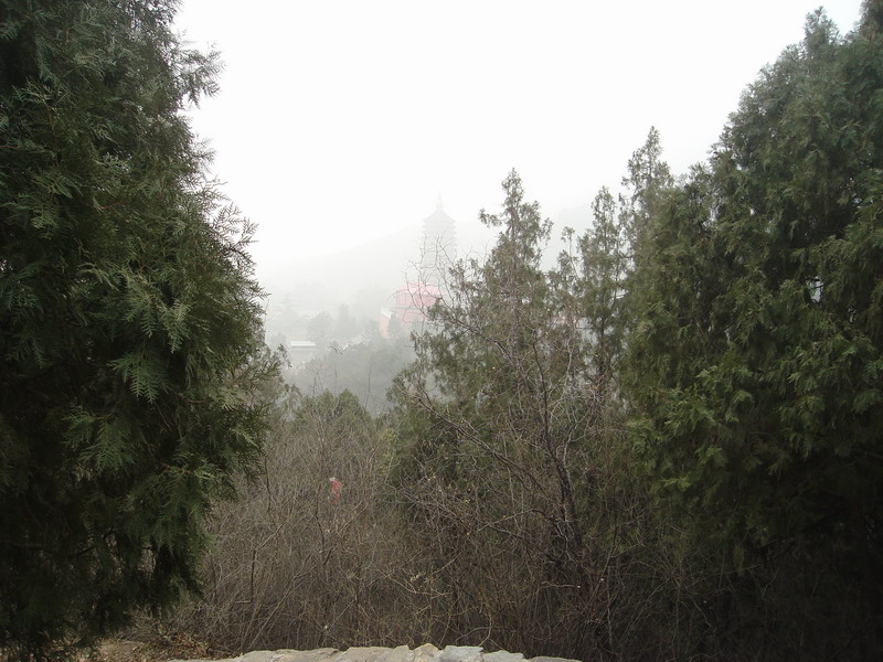 对面是雾朦朦的“二处”。