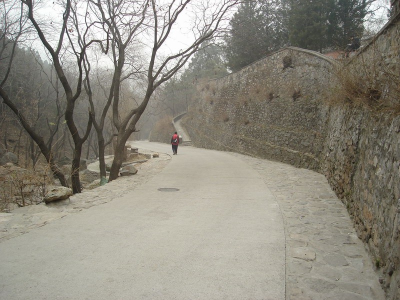 伊人（社长）也有孤独处。