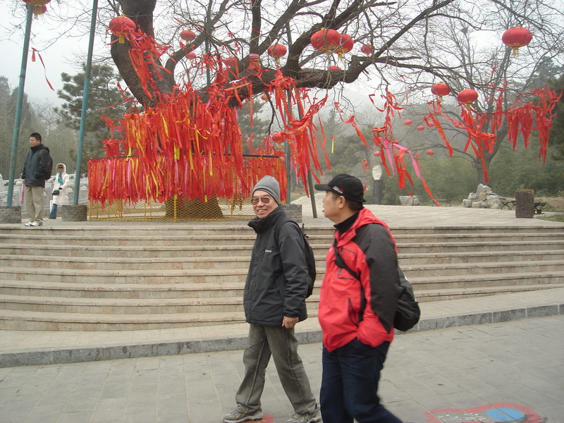 公园里笑影而过。