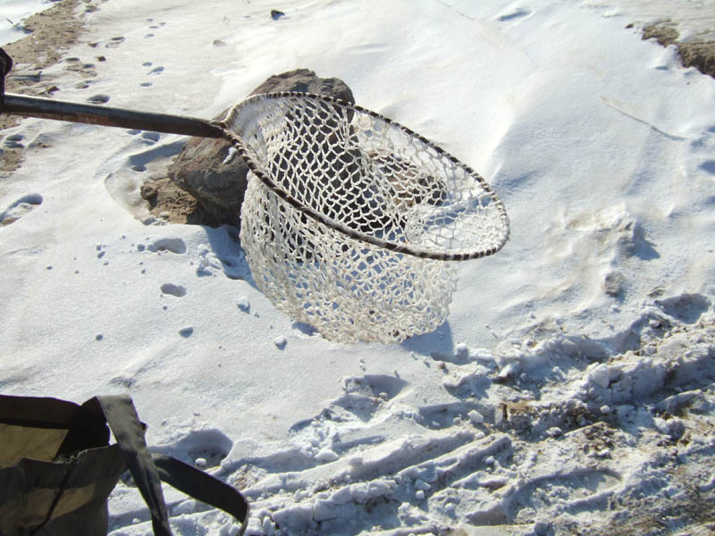 就这装备，牛人