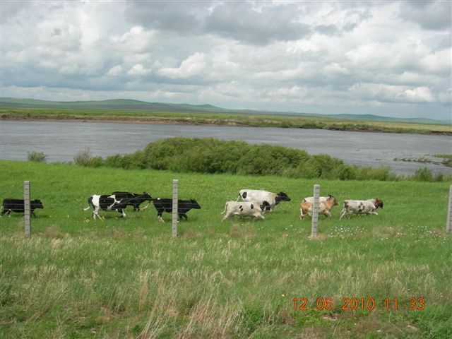 漠河之旅 815.jpg