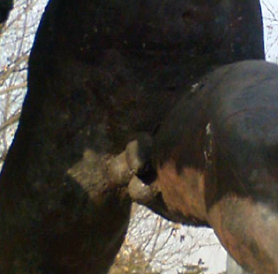 这张就很明显了把？