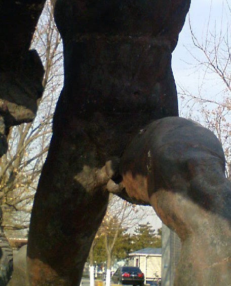 如果还没发现问题请看下一张