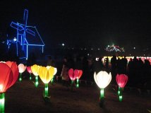 我电脑里08年拍的摄影照片（部分）