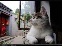 昨天两个MM的照片！（很邪恶的！）