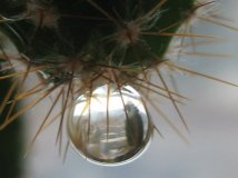 透过水珠看美景