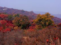 回味秋天--落坡领