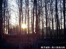 联想菜机短暂扫街