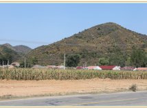 喇叭沟门的秋意！