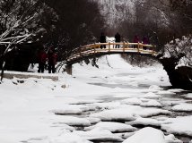 雪域边沟