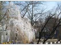 周六工体、扶轮和福禄兄