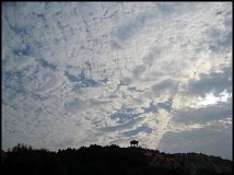 20110819游黑龙潭