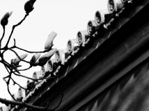 红墙外事。。。