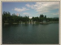 多图杀猫！ 车虽然菜 但人一样很开心~