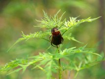 每到周末向往的地方，就是京西那路，那山、那水、那景。