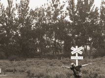 如果有一天 （蓝调摄影）