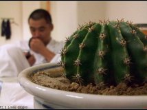 拍照不一定要用相机——ZN5手机拍照表现