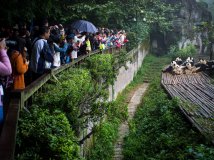 【成都】十一得瑟之旅