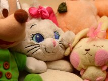 By China—准微距拍摄！