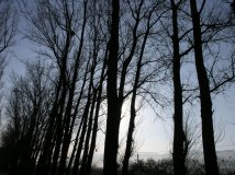 一张再普通不过的照片，一个只有主人公才知道的故事……