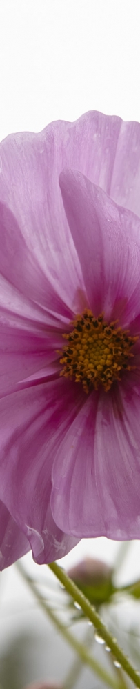 十一密云闲游随拍