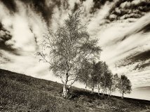 【好利时HOLUX骑迹摄影】【fulcrum-29】参赛作品