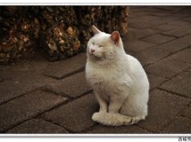 潭柘秋景迷人眼。