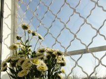 人人都爱小清新^_^