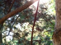 【0610潭柘寺】小清新系