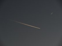 都是没车骑闹得