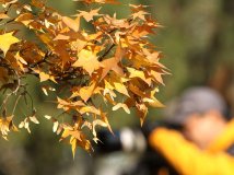 20101110动物园。。。