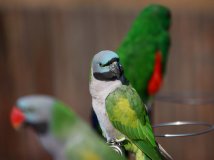 野生动物园随拍