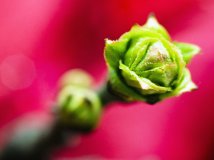 终于找到两张5D ,可惜不是套头。