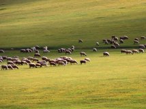 【HOLUX好利时骑迹摄影】--bj安东参赛作品