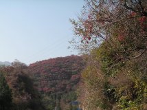 【好利时HOLUX骑迹摄影】---秋色