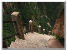 你敢到这里骑车吗？