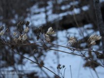 12月18日徒步攀登五指山