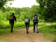 14日灵山 海拔2300以后是这样的风景。