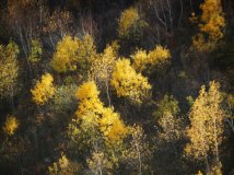 骑行6天北京-沽源，路上的风景