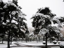 2009第一场雪，比往年来得更早了些！