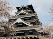 日本福崗縣樱花之旅(1)