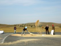 坝上之二——沽源到多伦