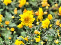 【好利时HOLUX骑迹摄影】【老麦】非参赛作品 --安徽黟县三...