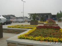 美丽的奥林匹克公园