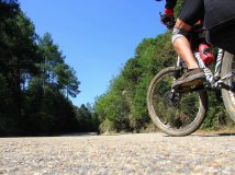 （HOLUX参赛作品）身未动心已远