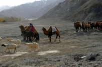 转场途中（随走随拍系列）