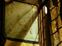 我的眼泪是一批高贵的客人