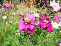 《好利时HOLUX骑迹摄影比赛》秋的幸福