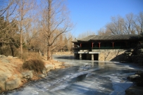 中山公园的松竹兰梅